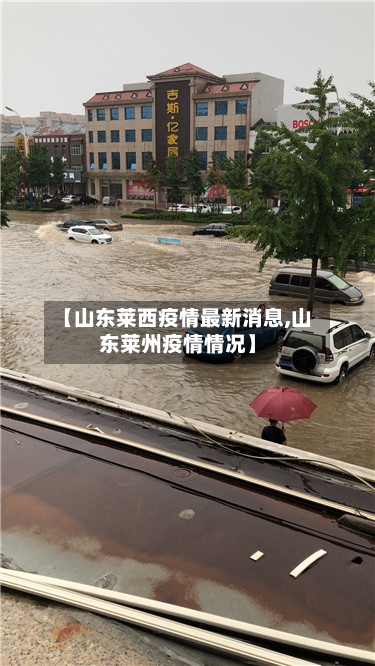 【山东莱西疫情最新消息,山东莱州疫情情况】-第3张图片