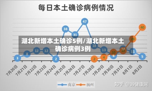 湖北新增本土确诊5例/湖北新增本土确诊病例3例-第2张图片