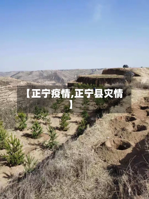 【正宁疫情,正宁县灾情】-第1张图片