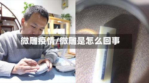 微雕疫情/微雕是怎么回事-第1张图片