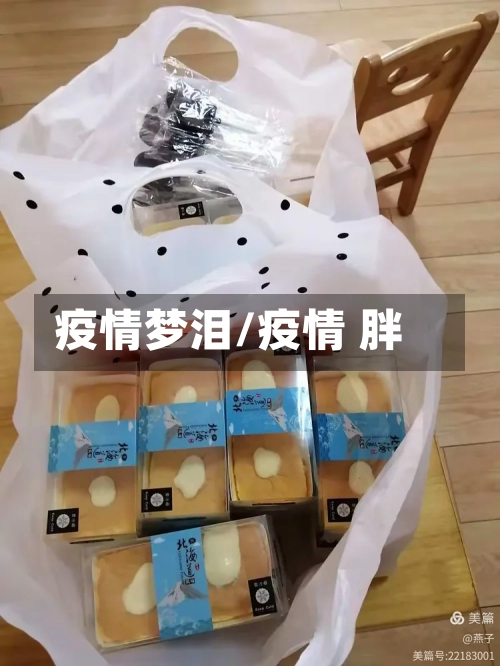疫情梦泪/疫情 胖-第1张图片